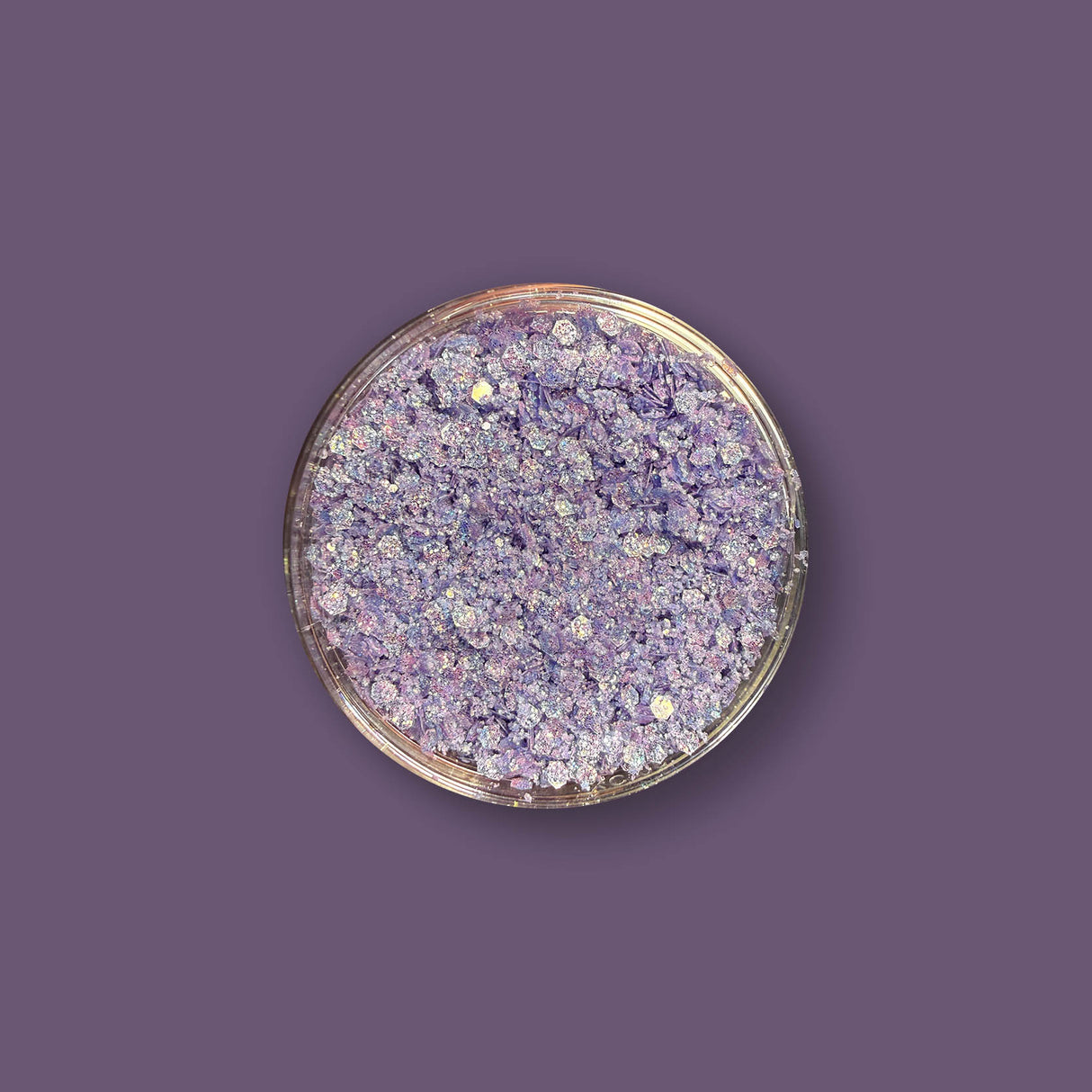 Lavender Halo
