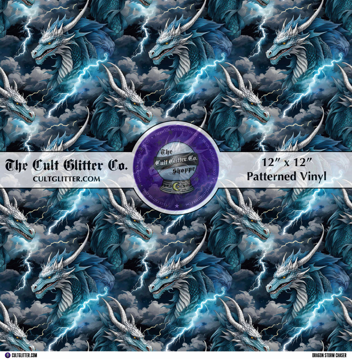 Dragon Storm Chaser - Vinyl