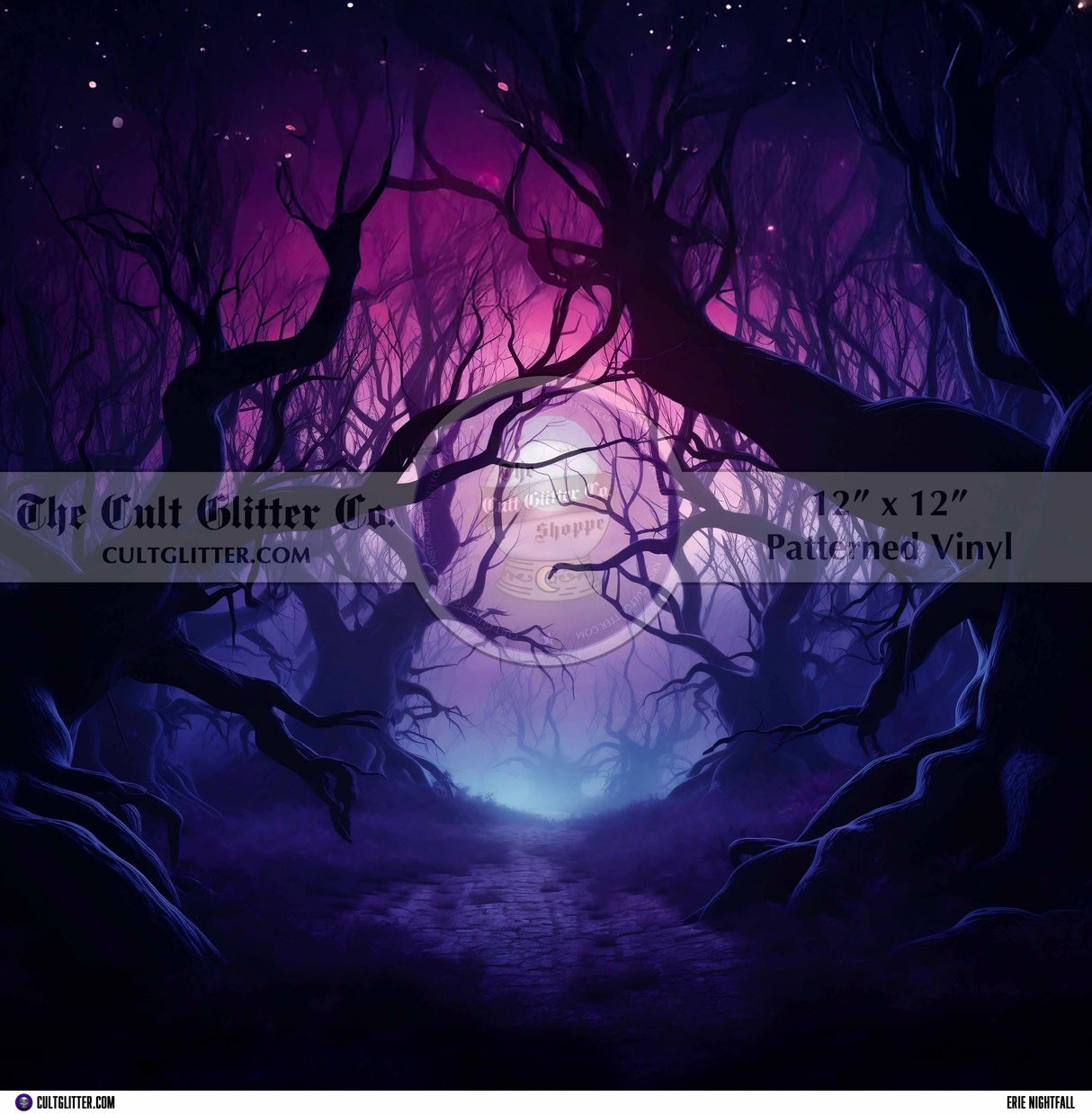 Erie Nightfall - Vinyl