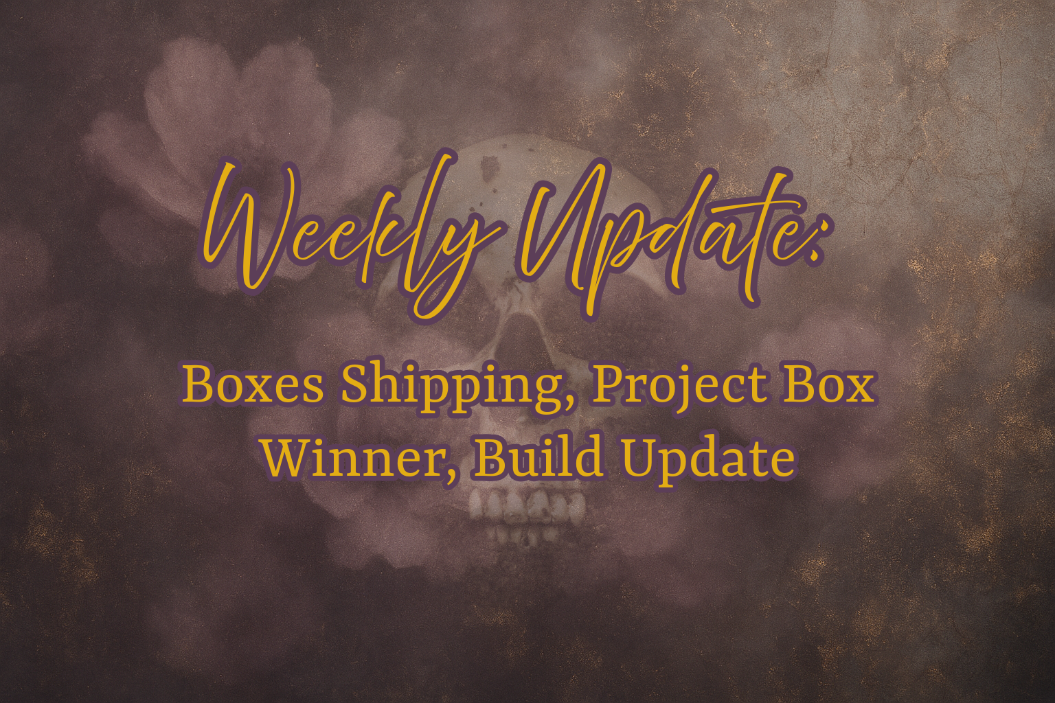 Weekly Update: Boxes Shipping, Project Box Winner, Build Update