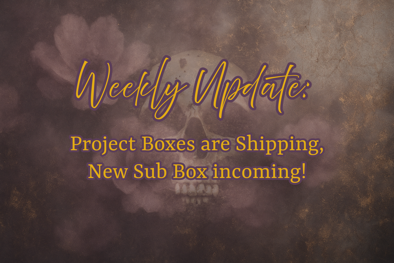 Weekly Update: Project Boxes are Shipping, New Sub Box incoming!
