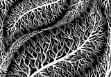 Creeping Veins Template