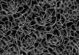 Succulents Template
