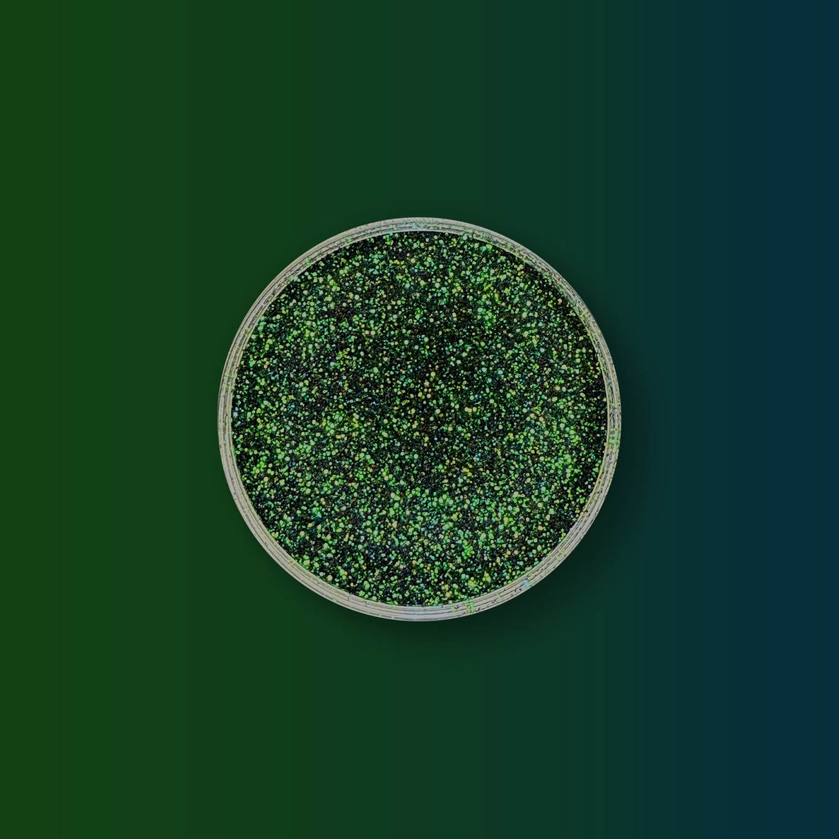 Thorned Ivy - Chameleon