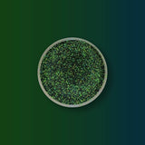 Thorned Ivy - Chameleon