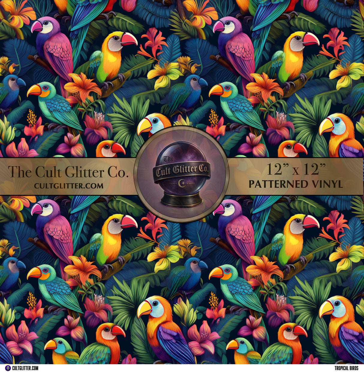 Tropical Birds